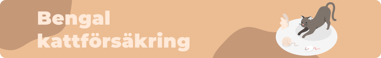 Bengal kattförsäkring